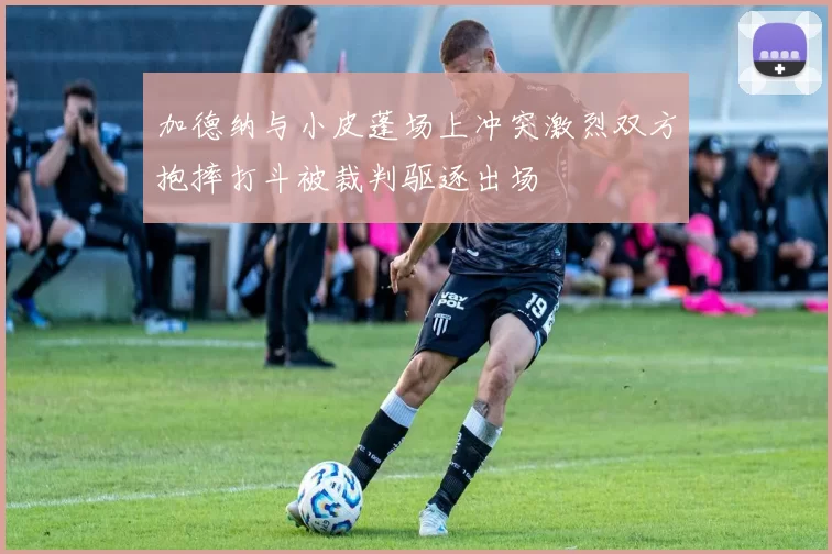 加德纳与小皮蓬场上冲突激烈双方抱摔打斗被裁判驱逐出场