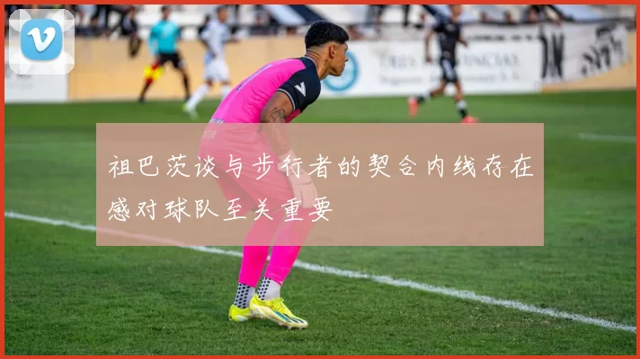 祖巴茨谈与步行者的契合内线存在感对球队至关重要